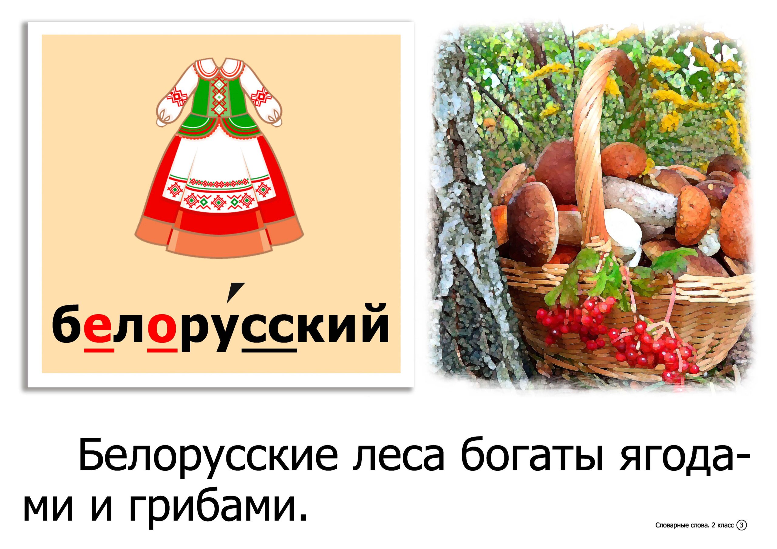 Словарные слова. 2 класс. Дидактический материал по русскому языку / сост.  В. В. Юницкая, Н. М. Крупа, - Book Express