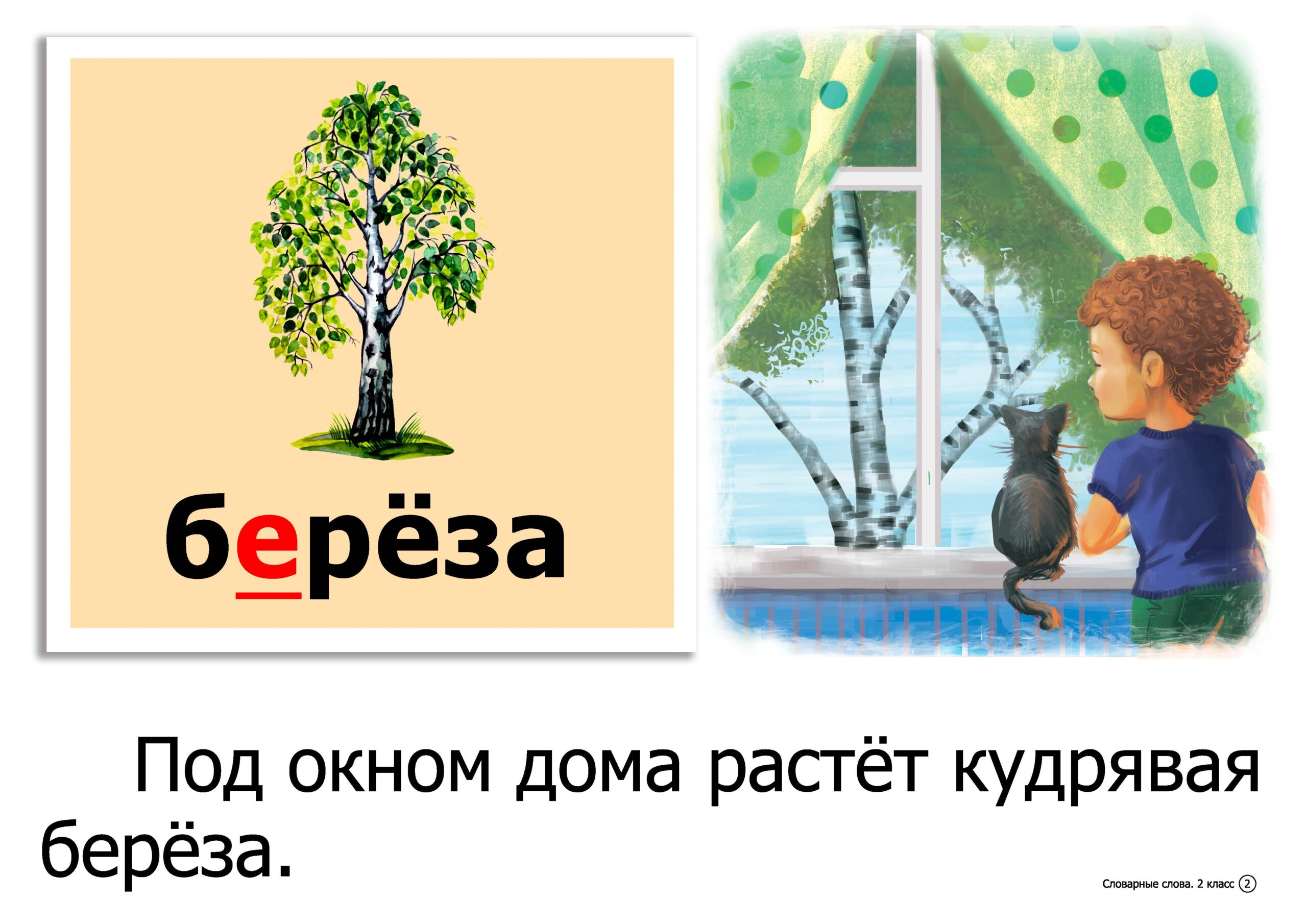 Словарные слова. 2 класс. Дидактический материал по русскому языку / сост.  В. В. Юницкая, Н. М. Крупа, - Book Express